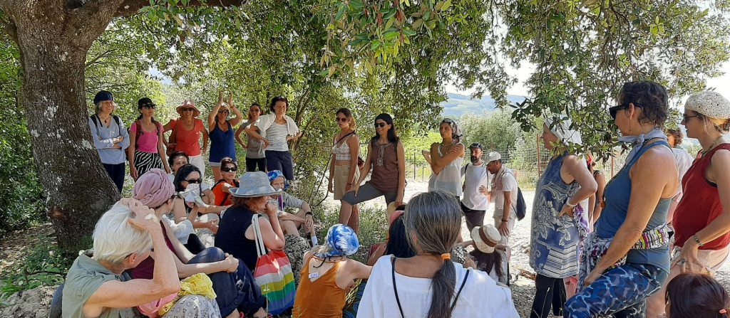 banner forest therapy - Elena Mancinelli